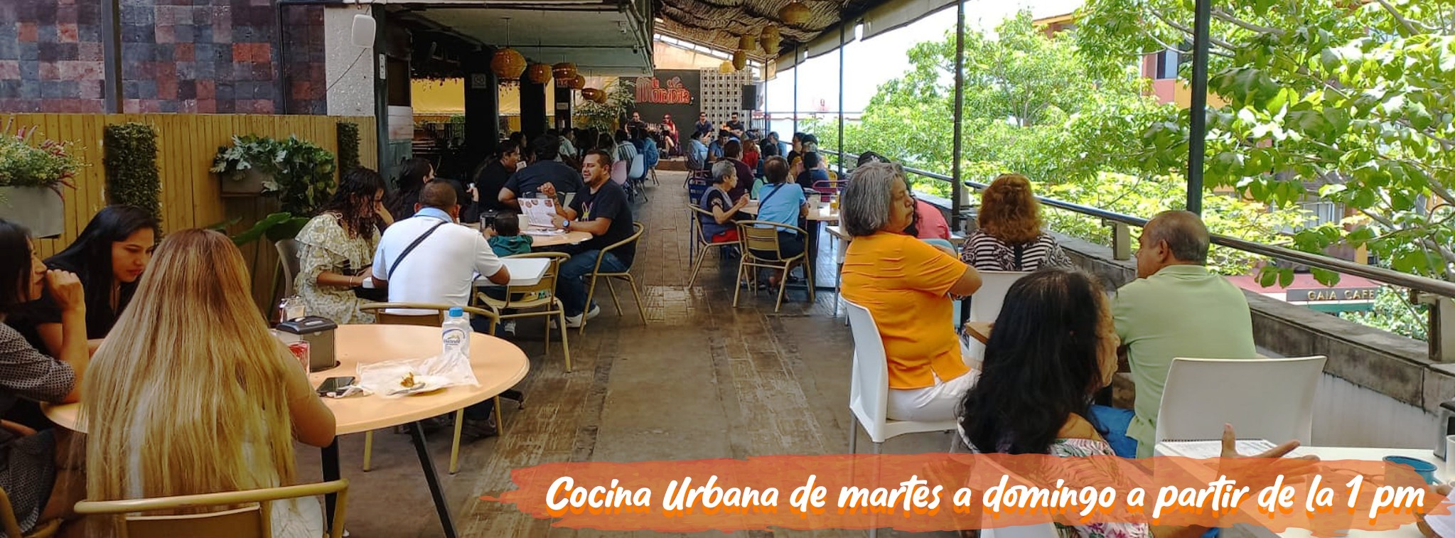 Terraza de La Mordidita